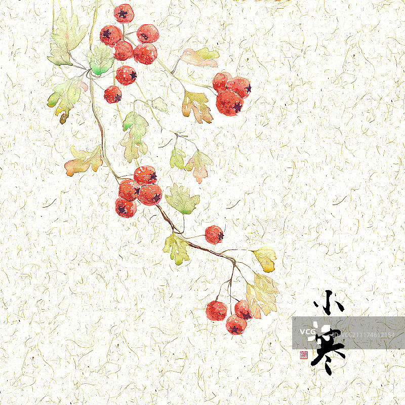 插画二十四节气果蔬系列之雨水豆芽图片素材