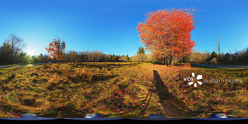 360°HDRI显示草地与秋天的树木在美国图片素材