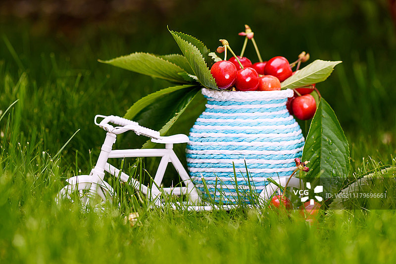 绿色草地上的行李上有樱桃和树叶的白色自行车的照片。图片素材