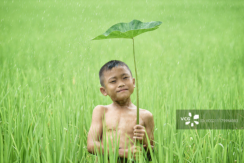 亚洲年轻男孩幸福传统当地泰国在地区领域w图片素材