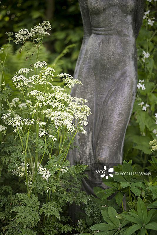 美丽的英国乡村花园的艺术形象，野生植物和雕像图片素材