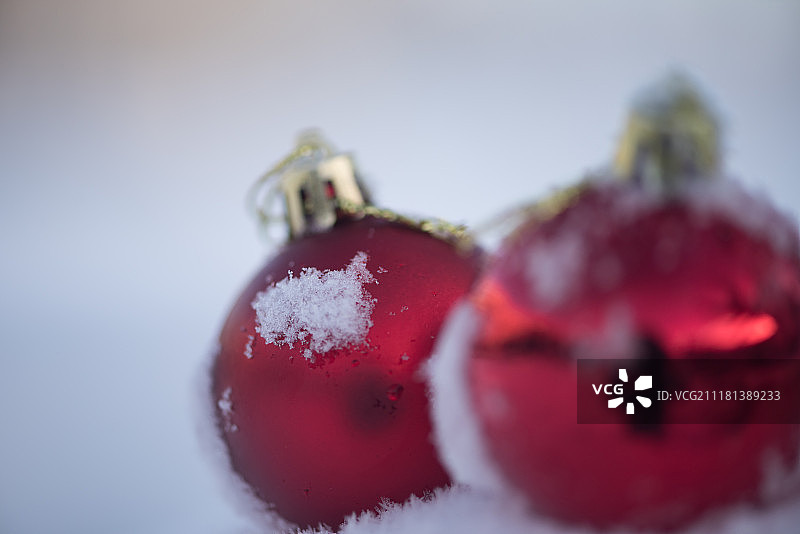 圣诞红球装饰在新鲜的雪背景在美丽的阳光明媚的冬日图片素材