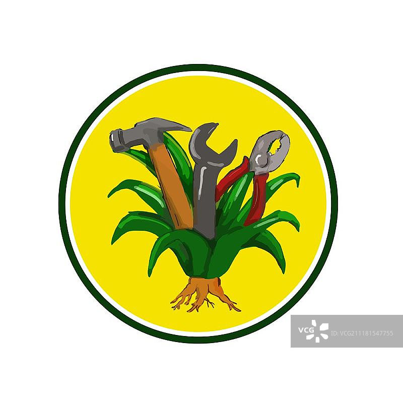 水彩素描风格的龙舌兰植物，原产于墨西哥和美国西南部的单子叶植物，与锤子，扳手和钳子工具生长出它设置内圈。龙舌兰与锤扳手钳水彩图片素材