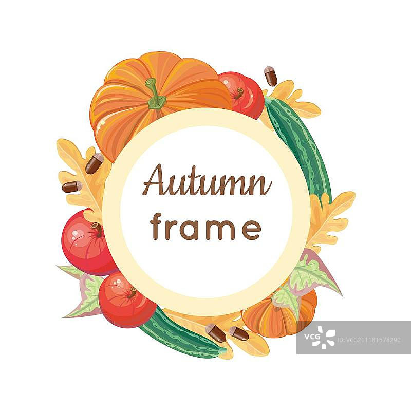 秋框架概念向量。平面设计。圆圆的架子上有成熟的蔬菜、水果、树叶。南瓜，西葫芦，苹果，橡子插图。用于人像照片装饰，杂货店，农场广告。平面设计中的秋季框架向量概念。平面设计中的秋季框架向量概念图片素材