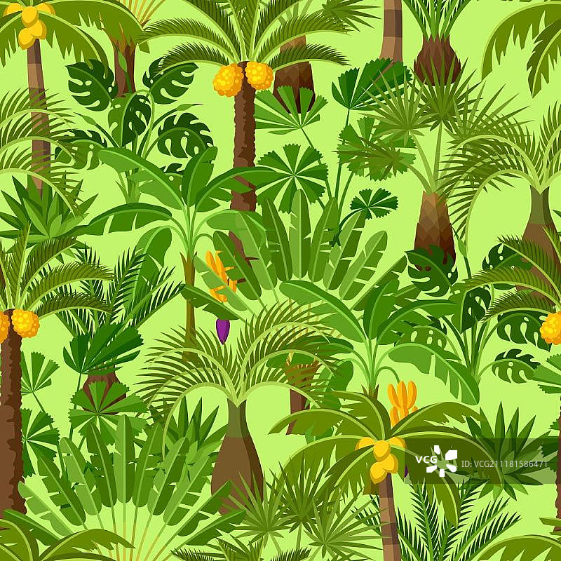 无缝模式与热带棕榈树。奇异的热带植物，丛林自然的插图。无缝模式与热带棕榈树。奇异的热带植物，丛林自然的插图。图片素材