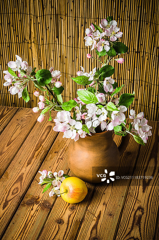 陶罐中成熟的苹果和开花的苹果枝图片素材