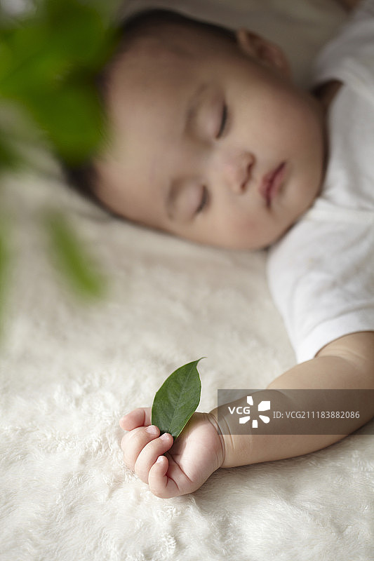 婴儿拿着树叶打盹的照片图片素材