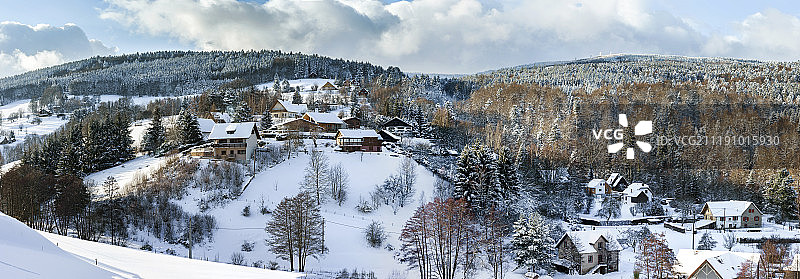 美丽的山坡与冬天的树在雪图片素材