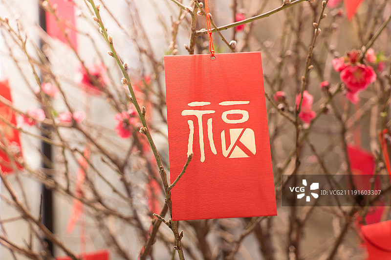 挂在桃花树上的红包利是封图片素材