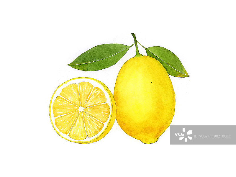 看见水果系列插画柠檬图片素材