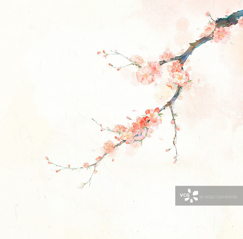 中国风水墨桃花花卉插画图片素材