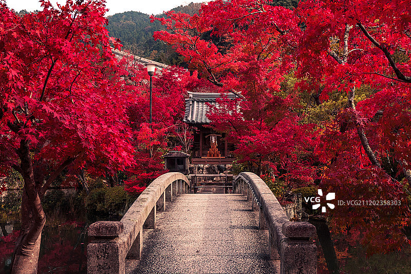 京都永观堂禅林寺图片素材