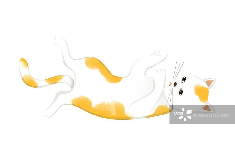 躺着玩耍的橘猫图片素材