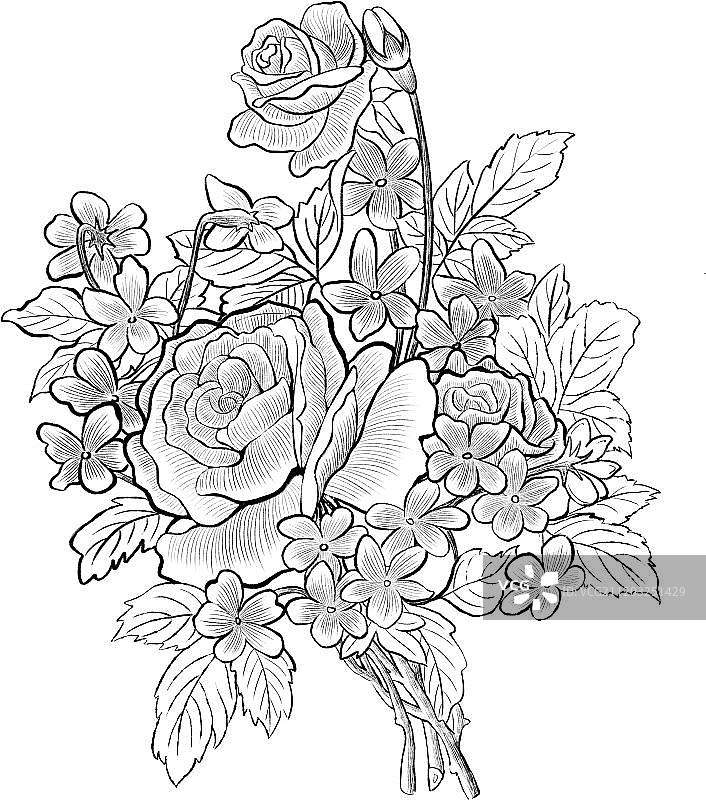 写实风的玫瑰花束图片素材