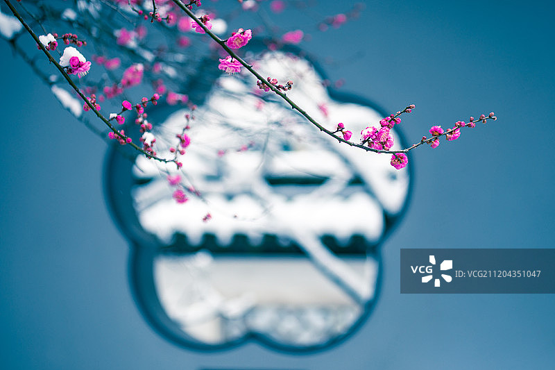 江苏南京园林雪景图片素材