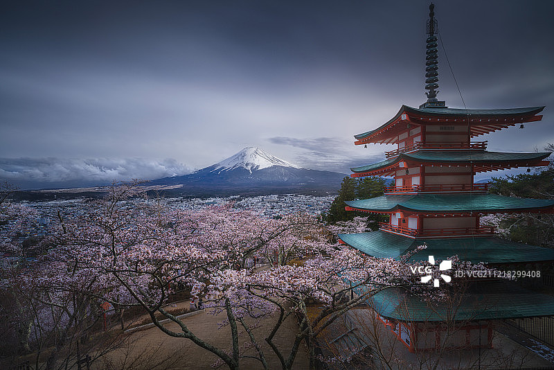 富士山下的樱花与忠灵寺图片素材