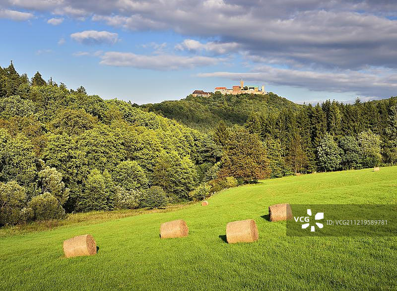图林根森林，德国，图林根，德国，欧洲，瓦特堡城堡，草地上的干草图片素材