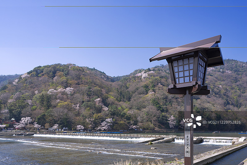 樱花，日本京都岚山桂河河畔的路灯图片素材
