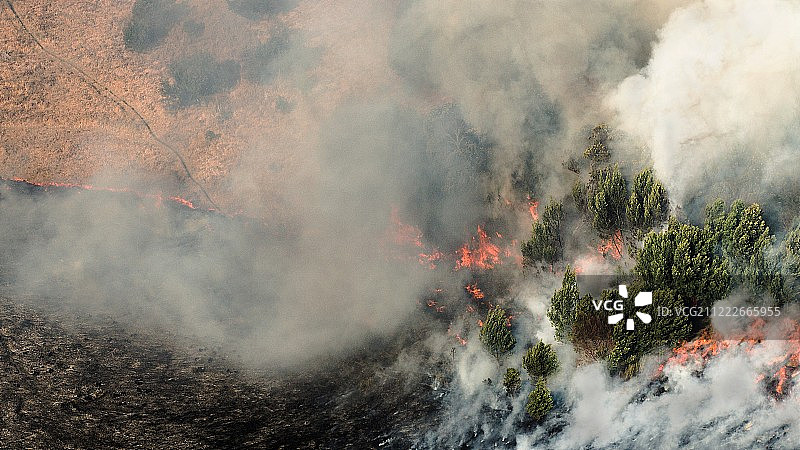 森林火灾鸟瞰图图片素材