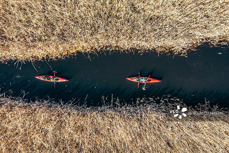 一群人划着皮艇，在秋水上的芦苇丛中穿行。图片素材