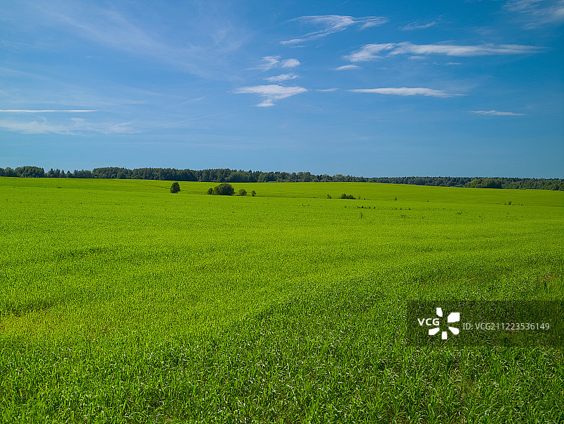夏天的风景与绿色的田野，蓝天与云彩图片素材
