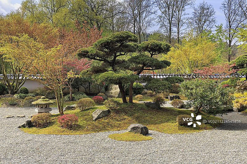 日本春天花园，卡瑞三穗，禅宗花园，展示花园和干景观花园，比勒费尔德，北莱茵-威斯特伐利亚，德国，欧洲图片素材