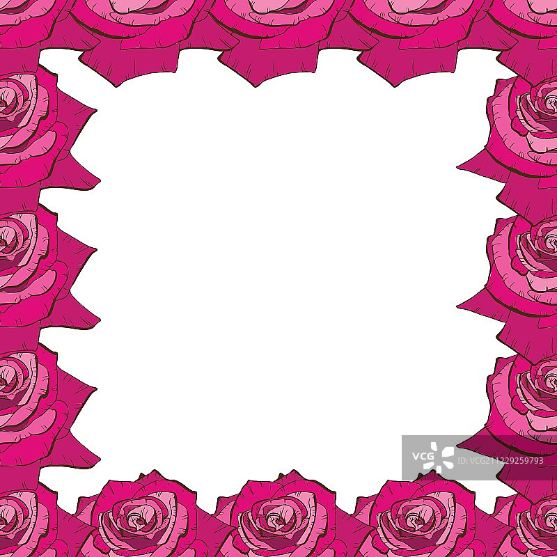一个漂亮的粉红色玫瑰花架。鲜花设计的卡片，横幅，海报等。植物矢量插图。图片素材