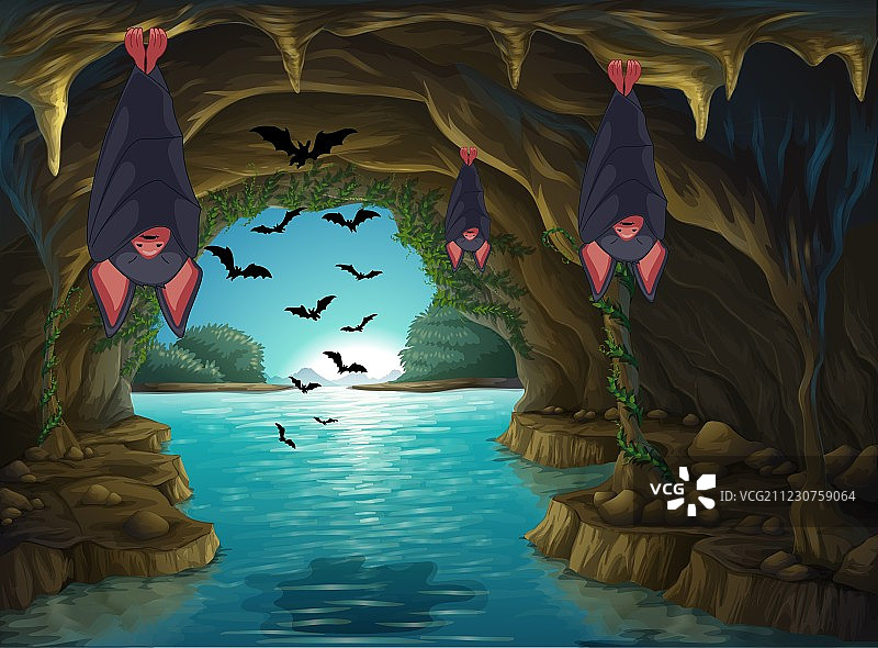 蝙蝠生活在黑暗的洞穴里图片素材