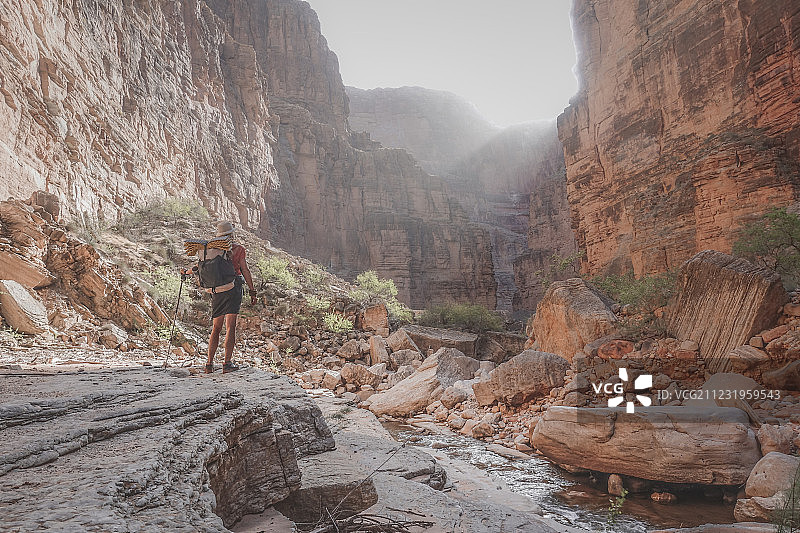 女性徒步旅行者站在大峡谷，亚利桑那州，美国的后视镜图片素材