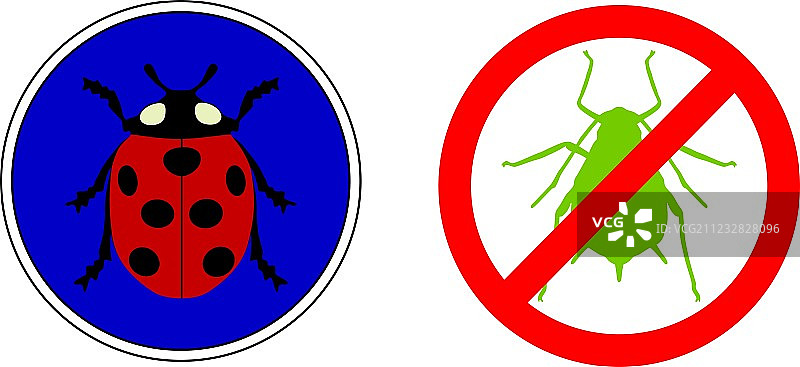 蚜虫瓢虫交通标志图片素材