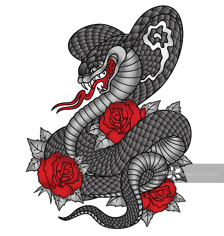 眼镜蛇玫瑰纹身图案图片素材