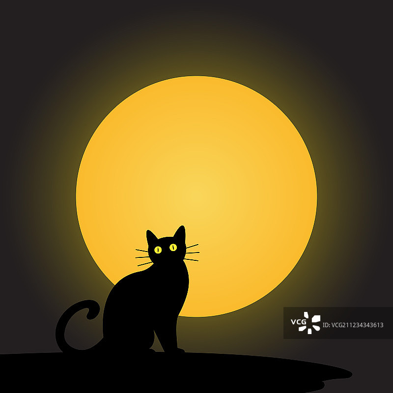 月光万圣节背景下的黑猫图片素材