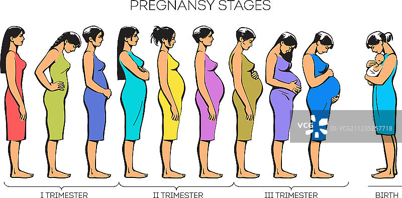 孕期变化过程图身体图片