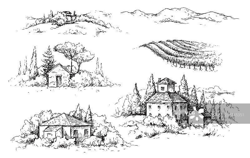 乡村景色与房屋，葡萄园和树木素描图片素材