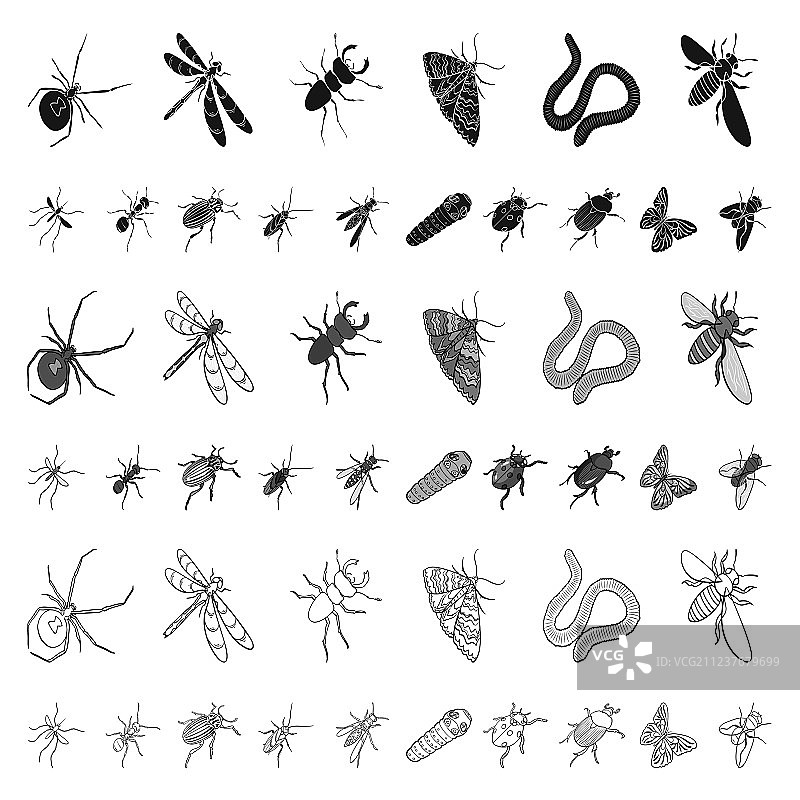 不同种类的昆虫卡通图标图片素材