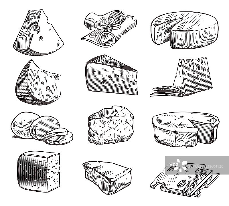 奶酪素描各种类型的奶酪新鲜图片素材