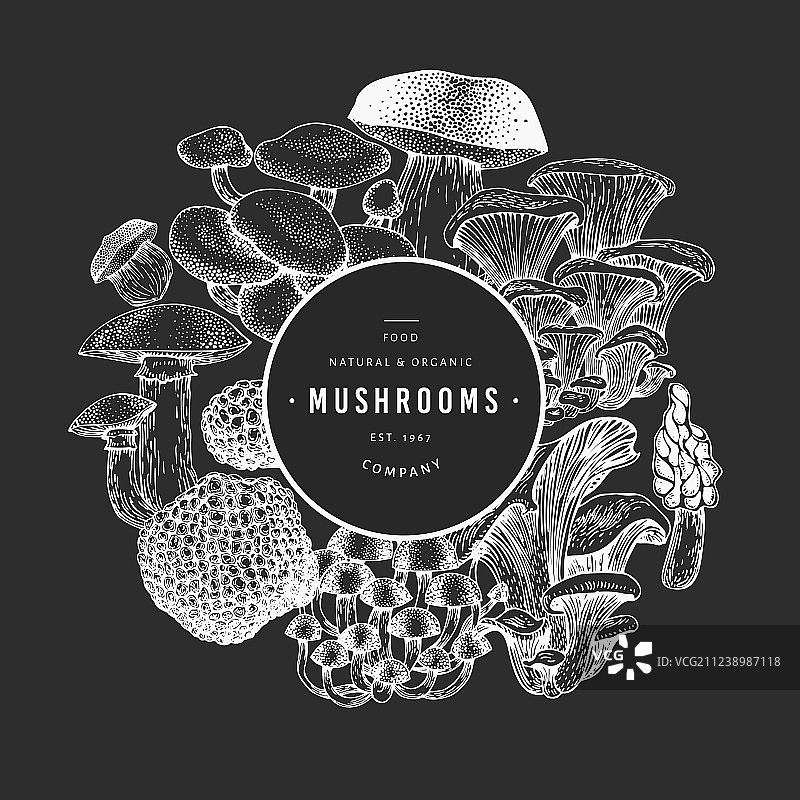 蘑菇设计模板手绘食物粉笔图片素材