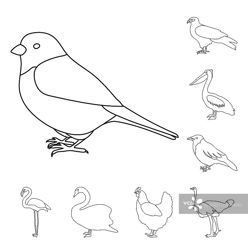 类型的鸟轮廓图标集合为图片素材