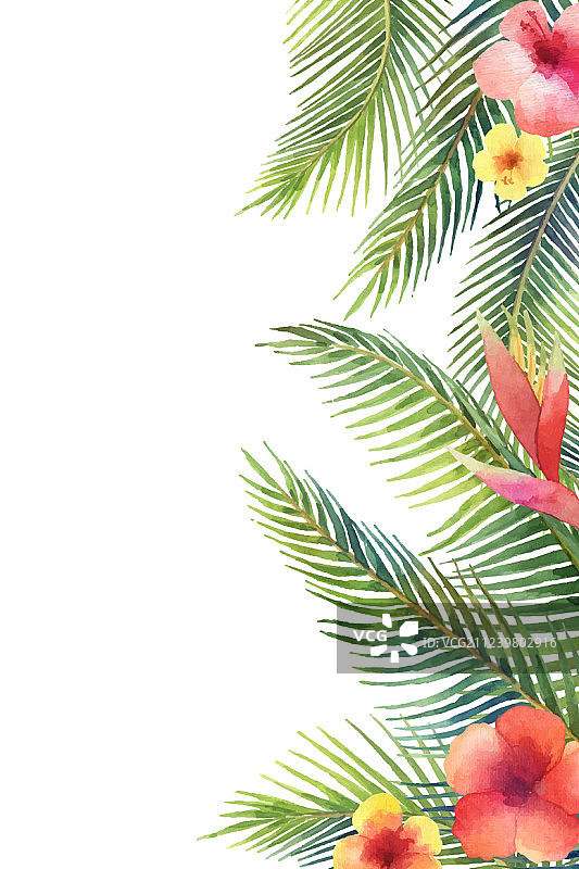 水彩横幅热带树叶和图片素材