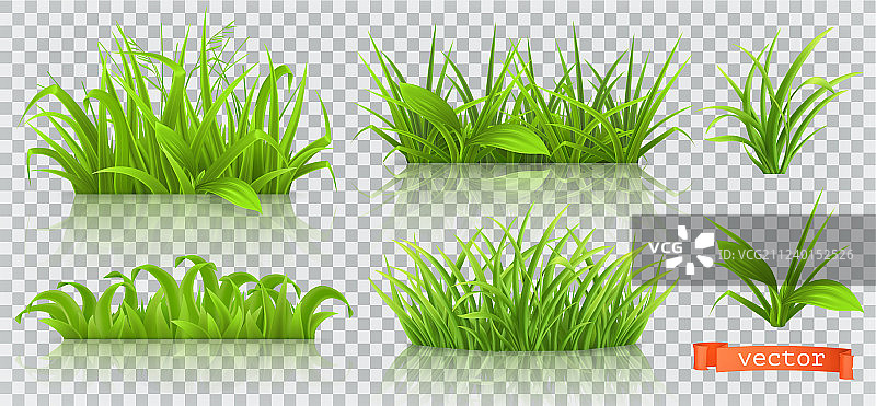 春天绿草3d逼真的图标集图片素材