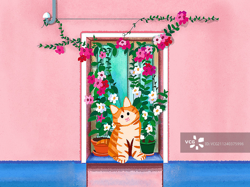 猫和阳台图片素材