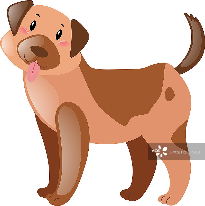 棕色的狗和快乐的脸图片素材