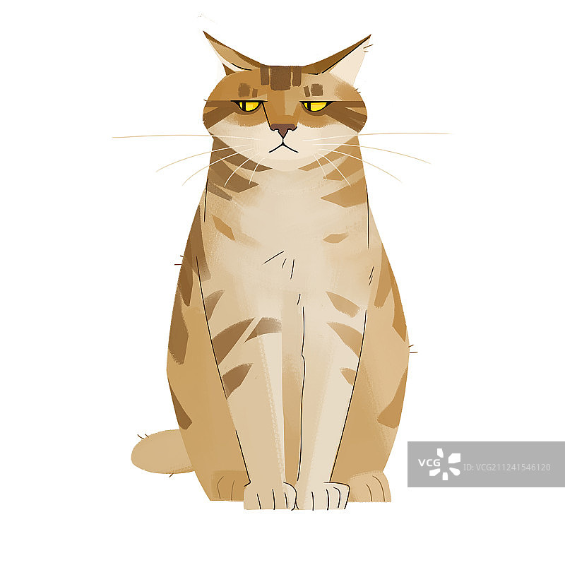 神态高冷的橘色花纹狸花猫坐姿插画图片素材