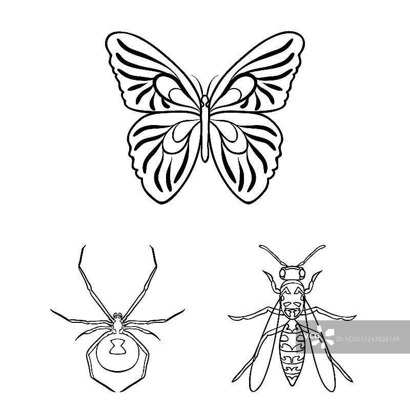 不同种类的昆虫轮廓图标在集合图片素材