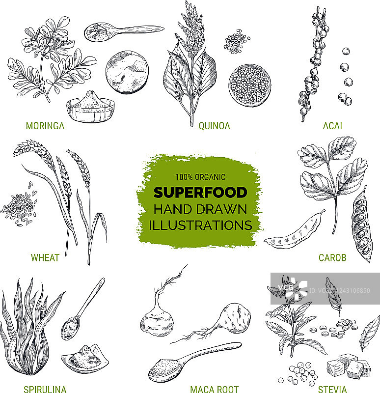 超级食物手绘草图图片素材
