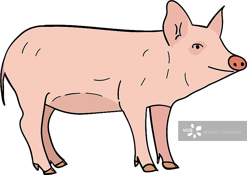 猪在涂鸦风格图片素材