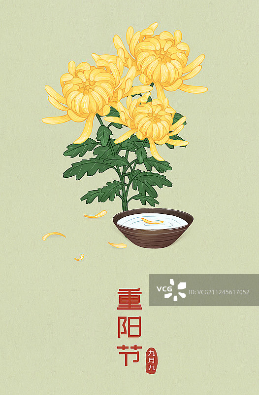 九月九日重阳节赏菊祭祖节日手绘插画图片素材