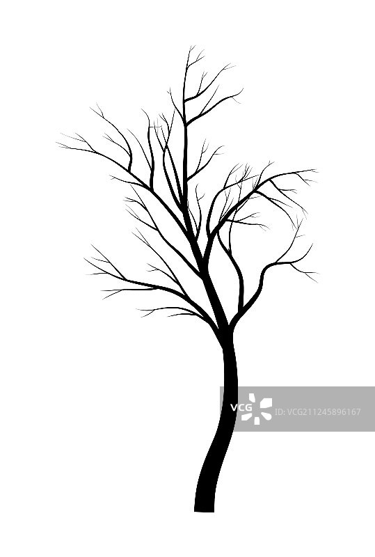 光秃秃的树枝剪影符号图标设计图片素材