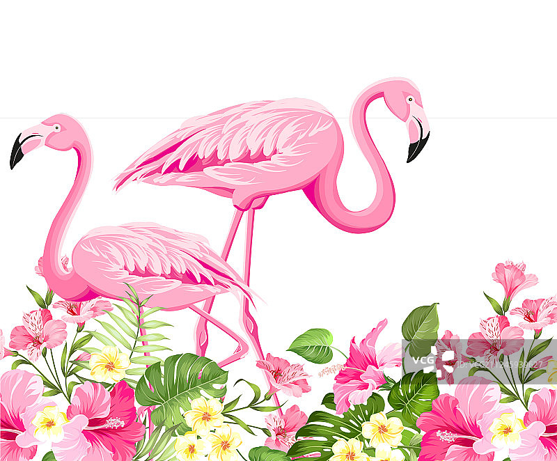 热带鸟类和花卉时尚图片素材