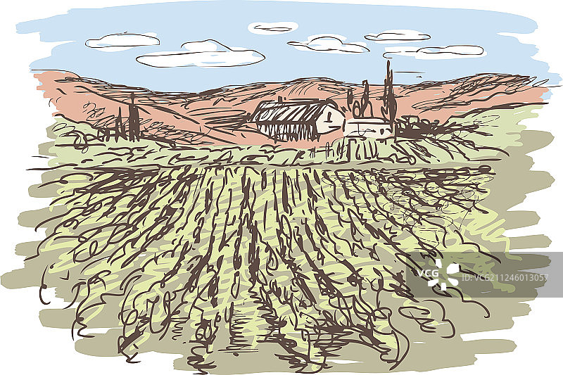 素描葡萄园景观图片素材